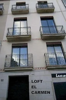 Apartment Loft El Carmen Alicante